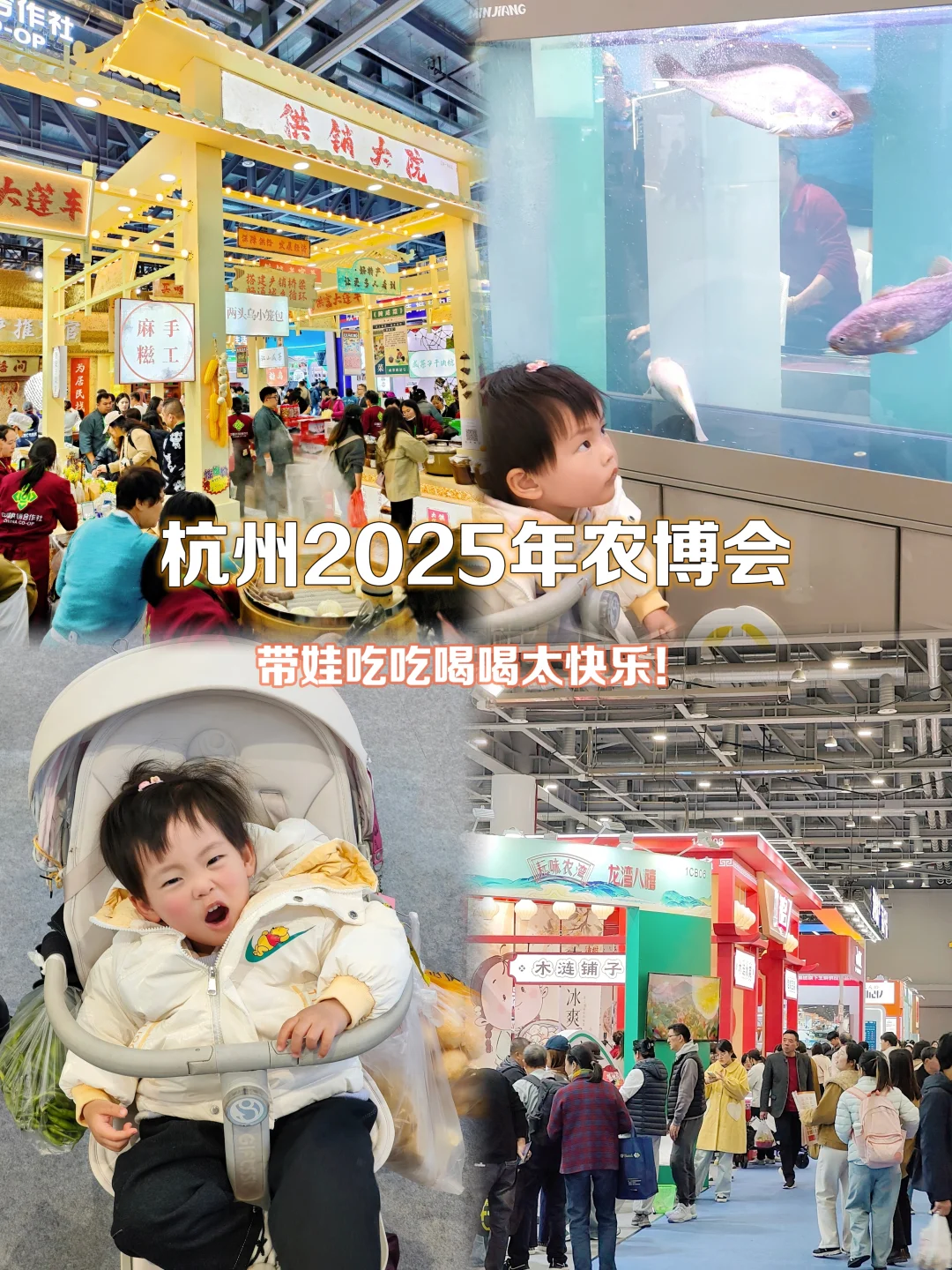 25杭州农博会逛吃攻略,带娃吃喝太快乐~