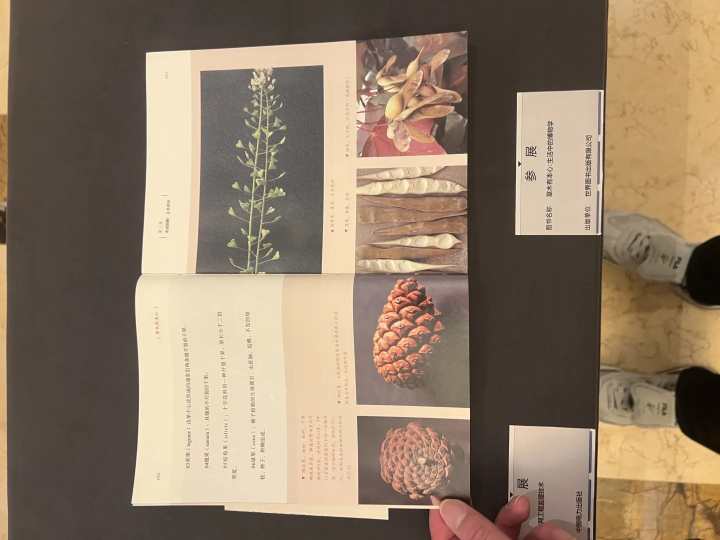 崔老师书籍装帧设计?