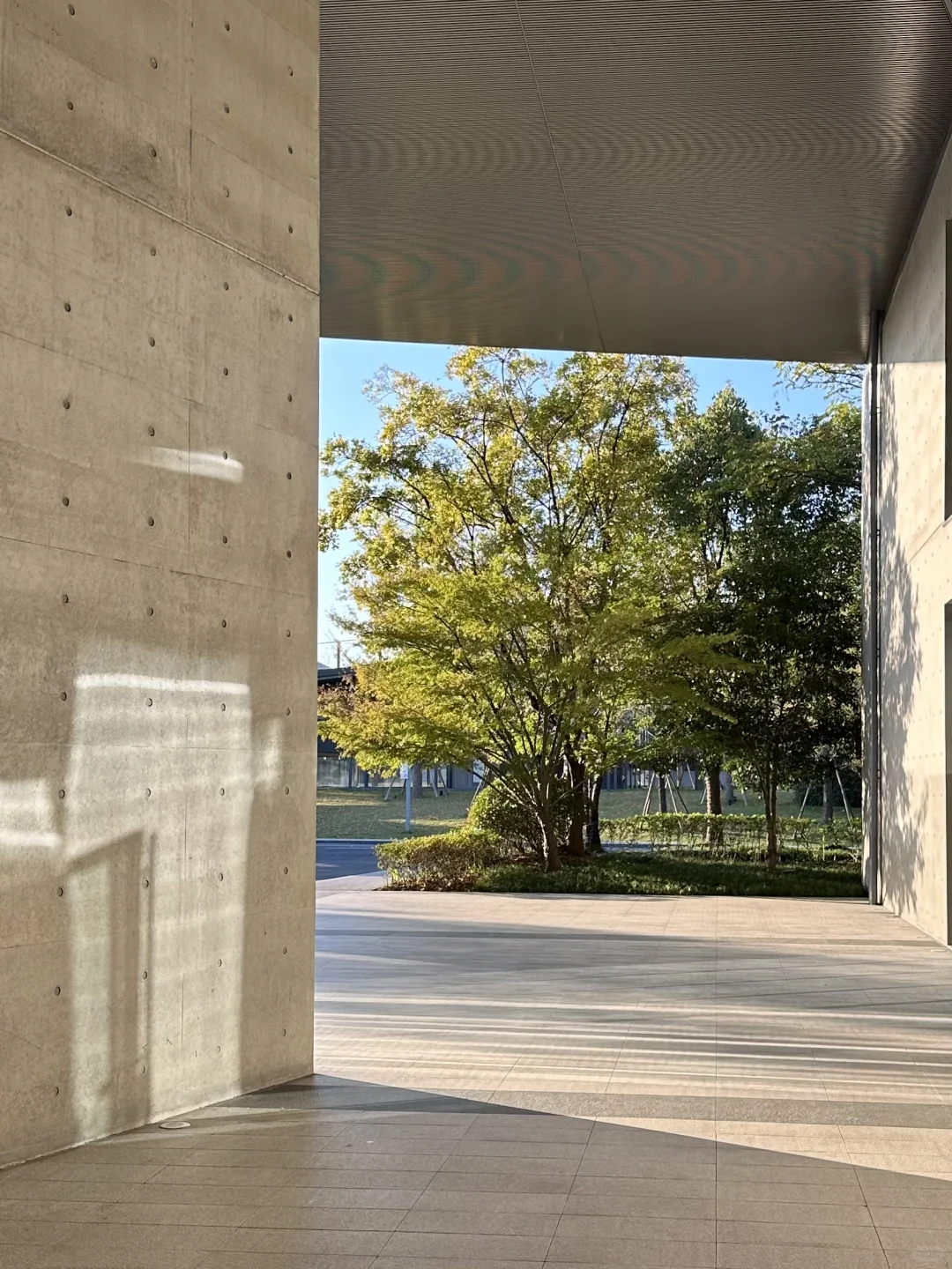 Design360设计节2025?设计浓度爆表‼️