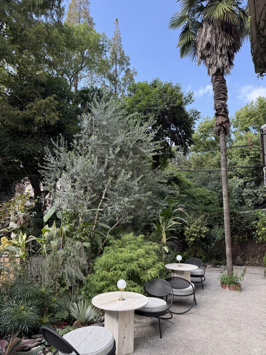 ??上海绝美新展｜tbh开了！