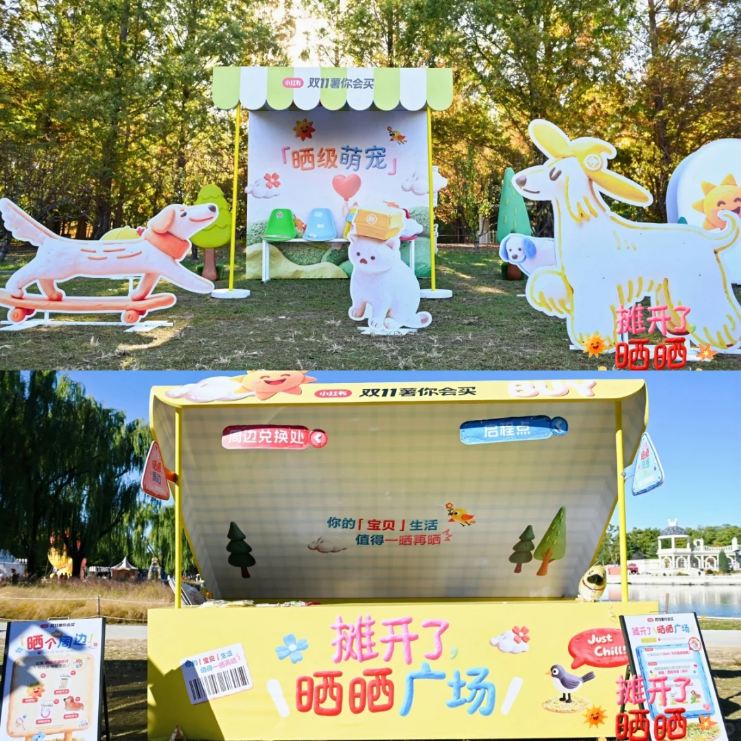 摊开了,晒晒,小红薯风格一向如此