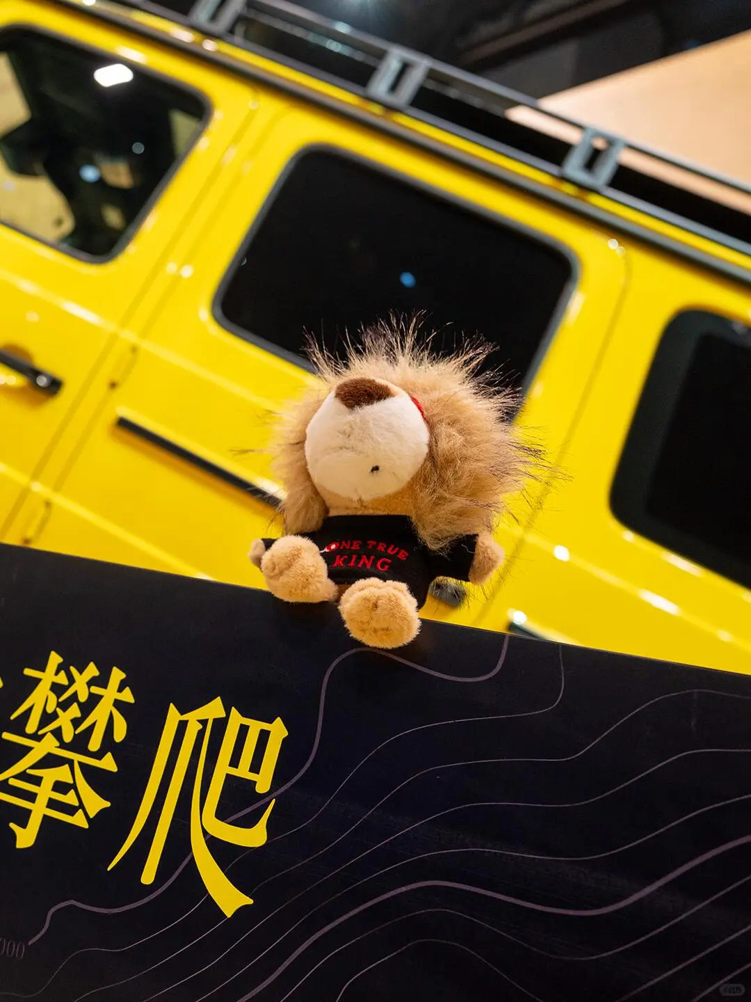 谁懂?惊喜太多！根——本——说不完！