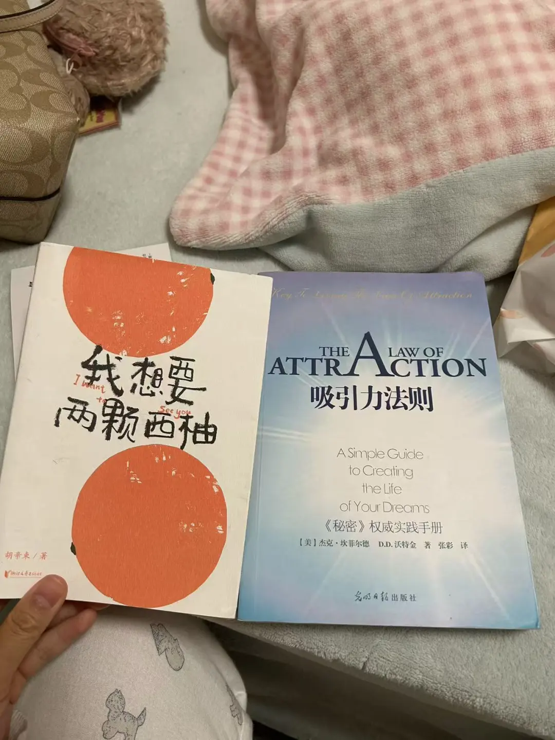 长沙周末citywalk，岳麓书会好好逛✌️