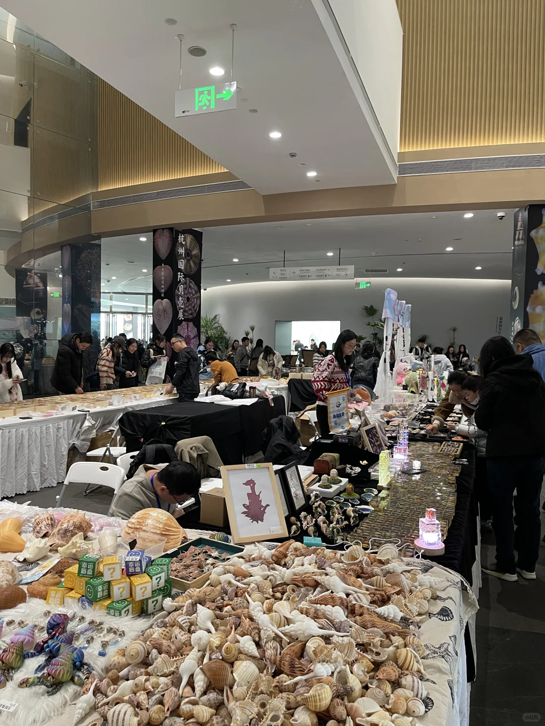 杭州国际贝壳展 现场实图