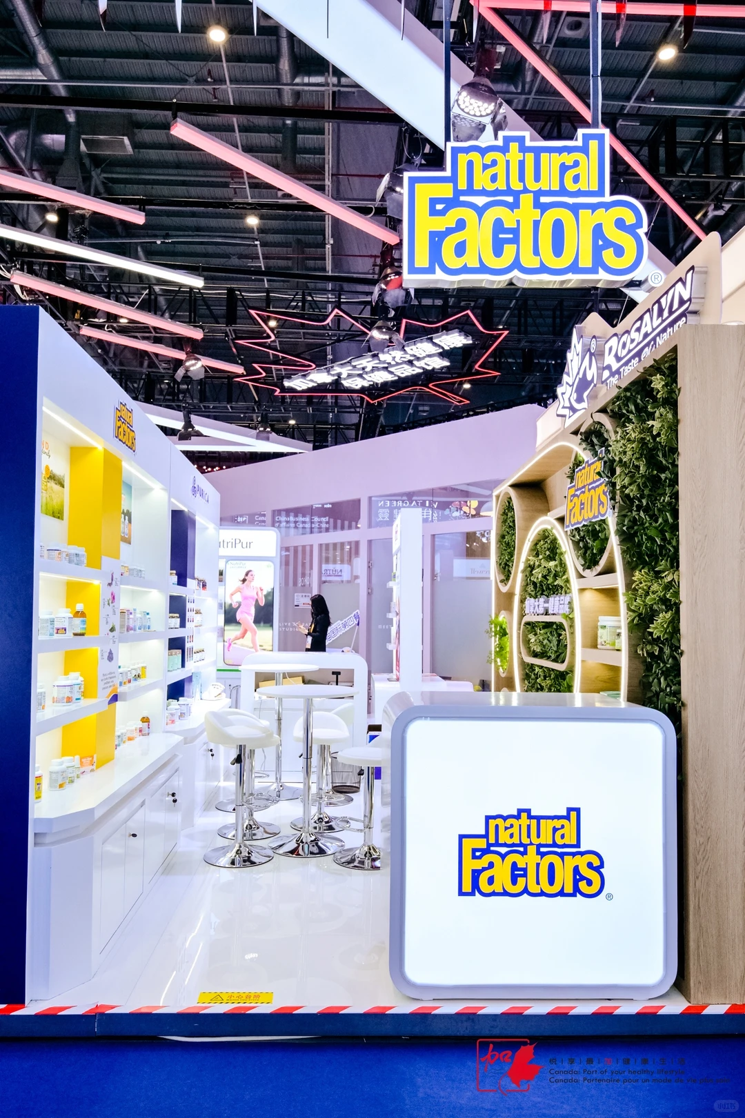 今年进博会终于结束啦