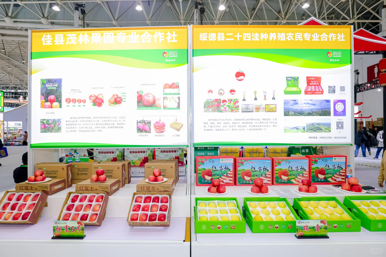 农博会现场=年轻人的“吃货创业课”？