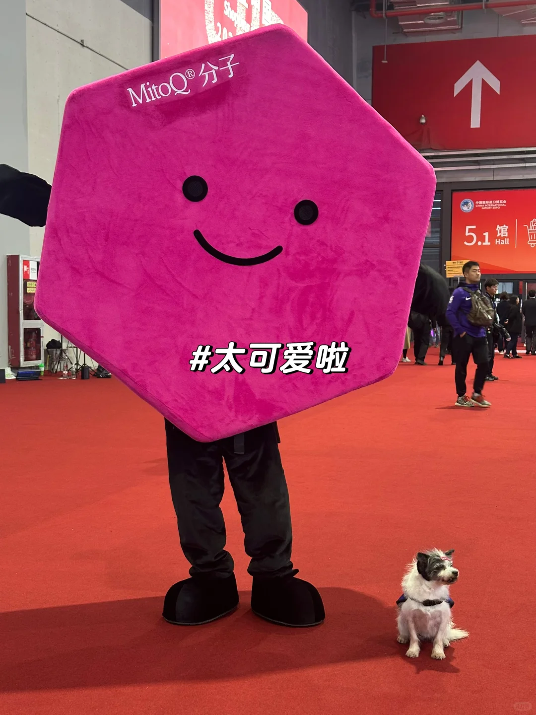 xiii?的SNAI日常｜进博会新体验