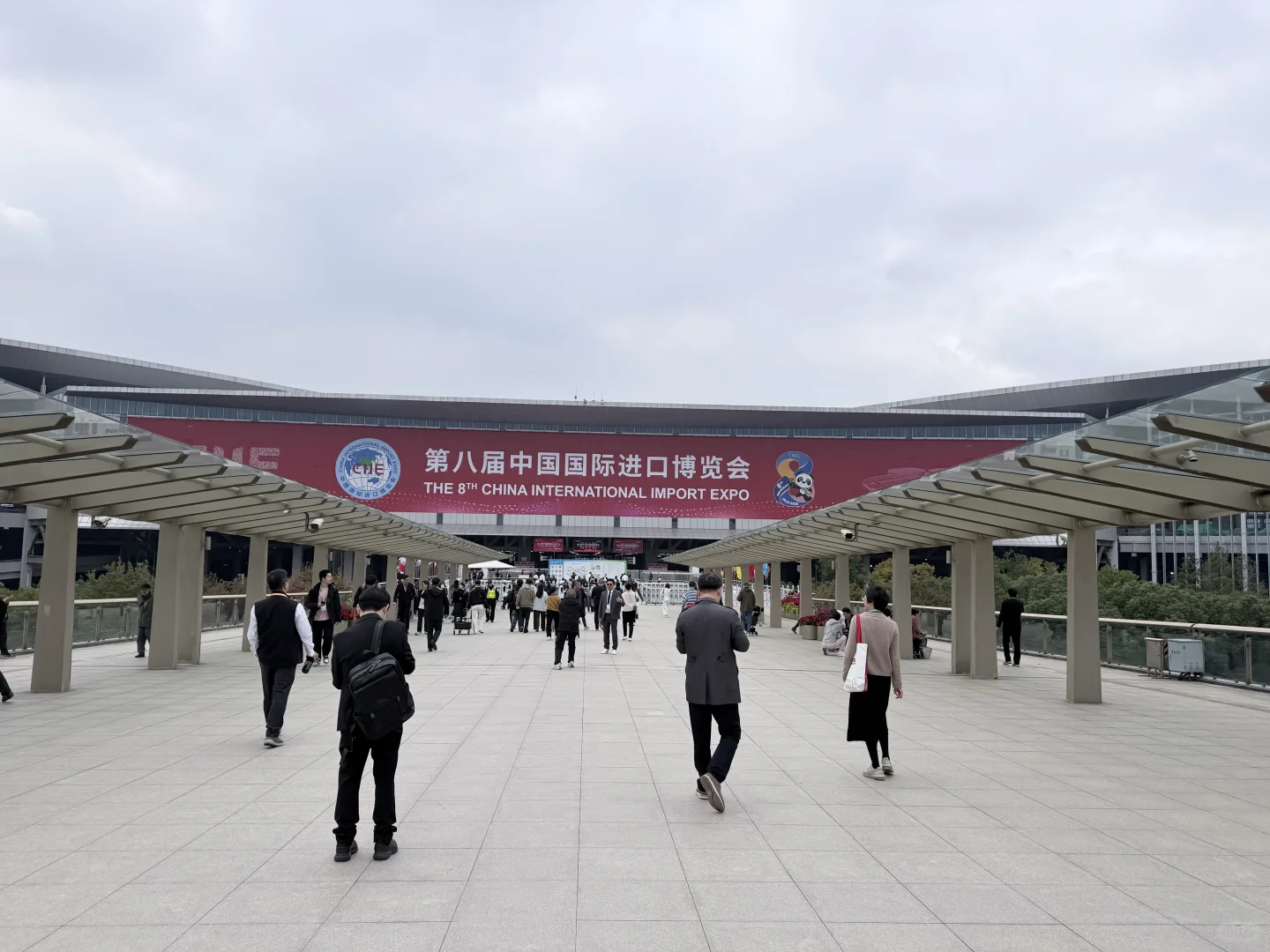 今年进博会终于结束啦