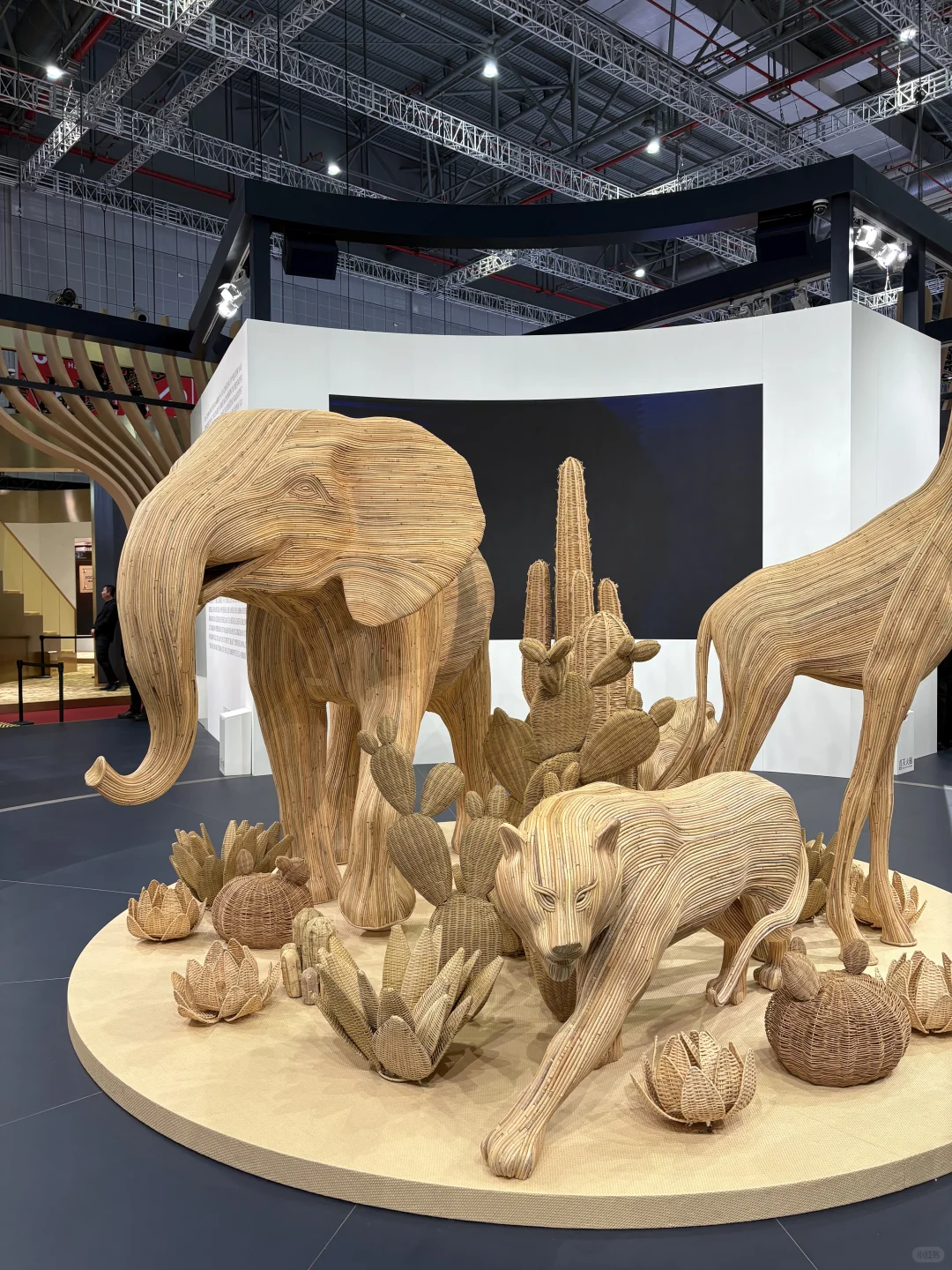 第八届中国国际进口博览会?