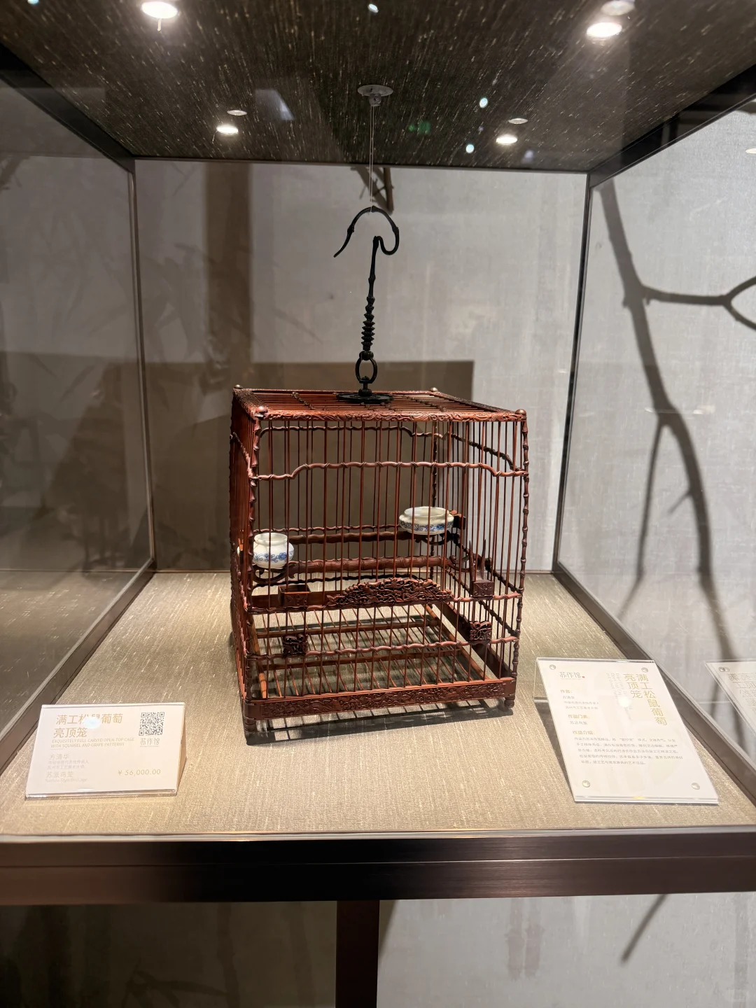 第八次进博会-见到了唐嫣！买了钻石！