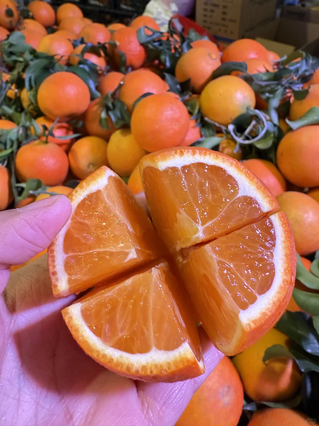 济南必逛展会！0元打卡全球好物