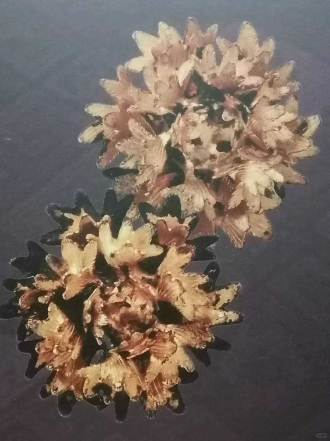 皇家遗珍，明代藩王文物精品展（3）