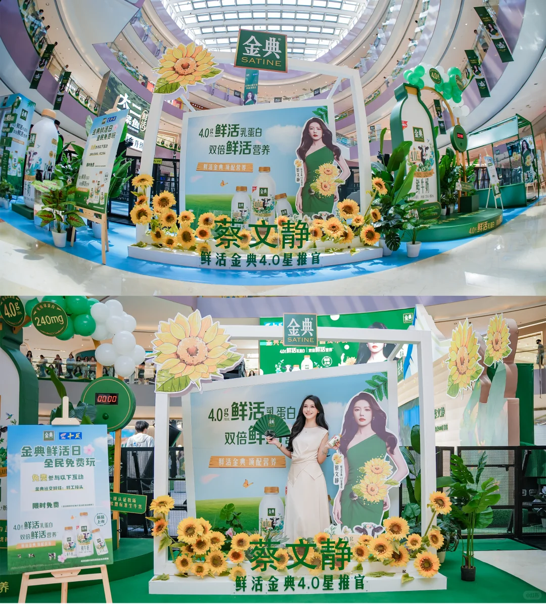 get蔡文静同款新品！金典4.0发布会现场直击