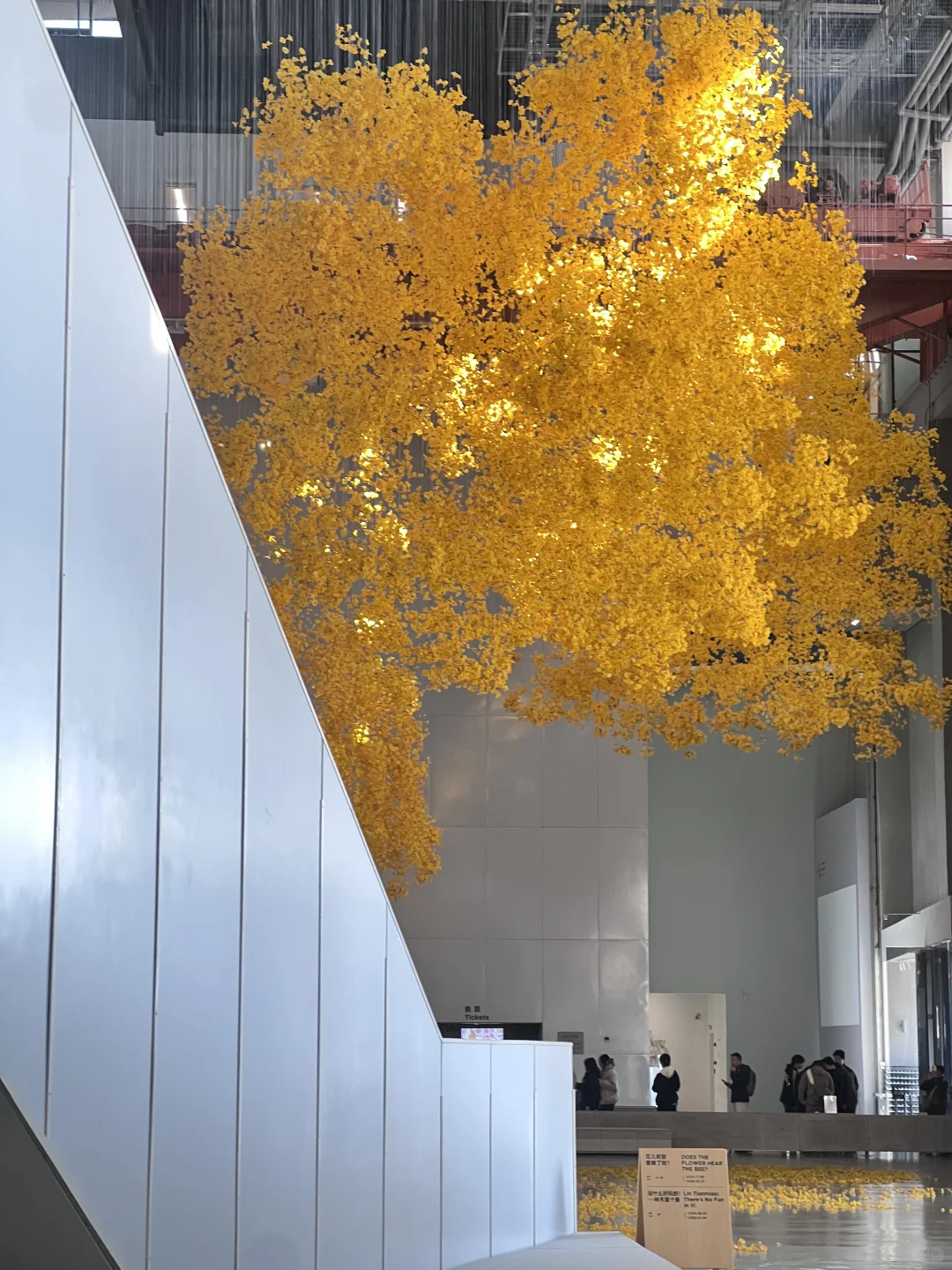 逛完这个展像给大脑做了场排毒?‍♀️