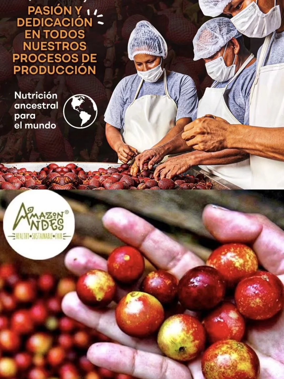 ?进博会㊙️钰程携手秘鲁超级食品登陆中国?