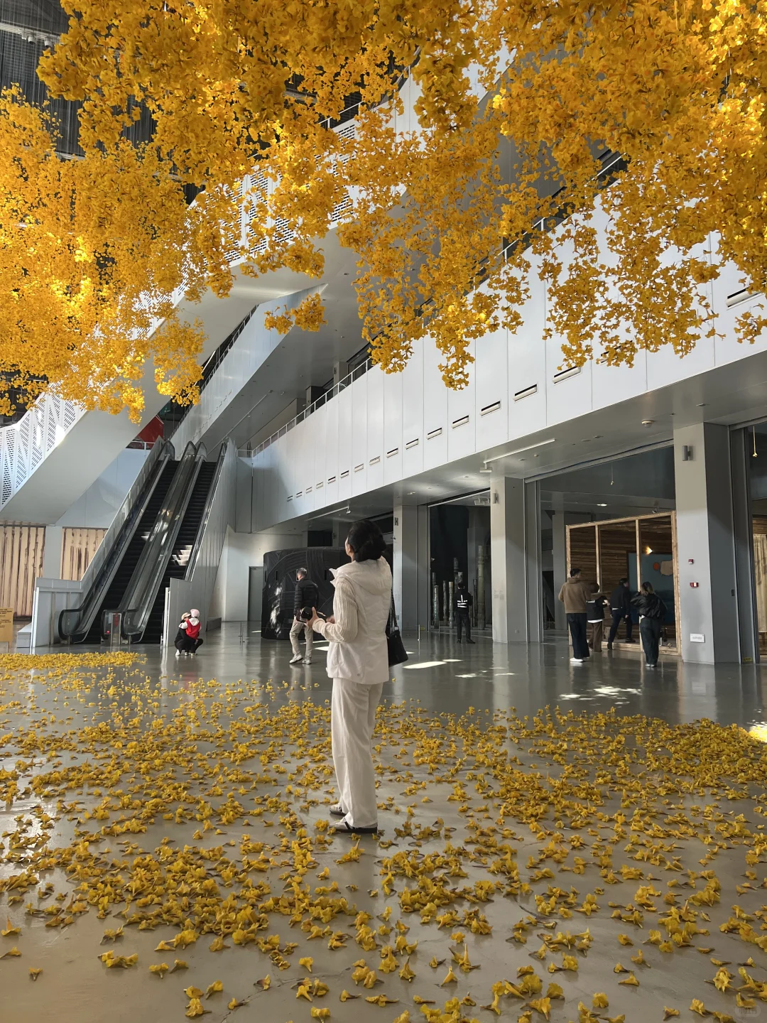 逛完这个展像给大脑做了场排毒?‍♀️