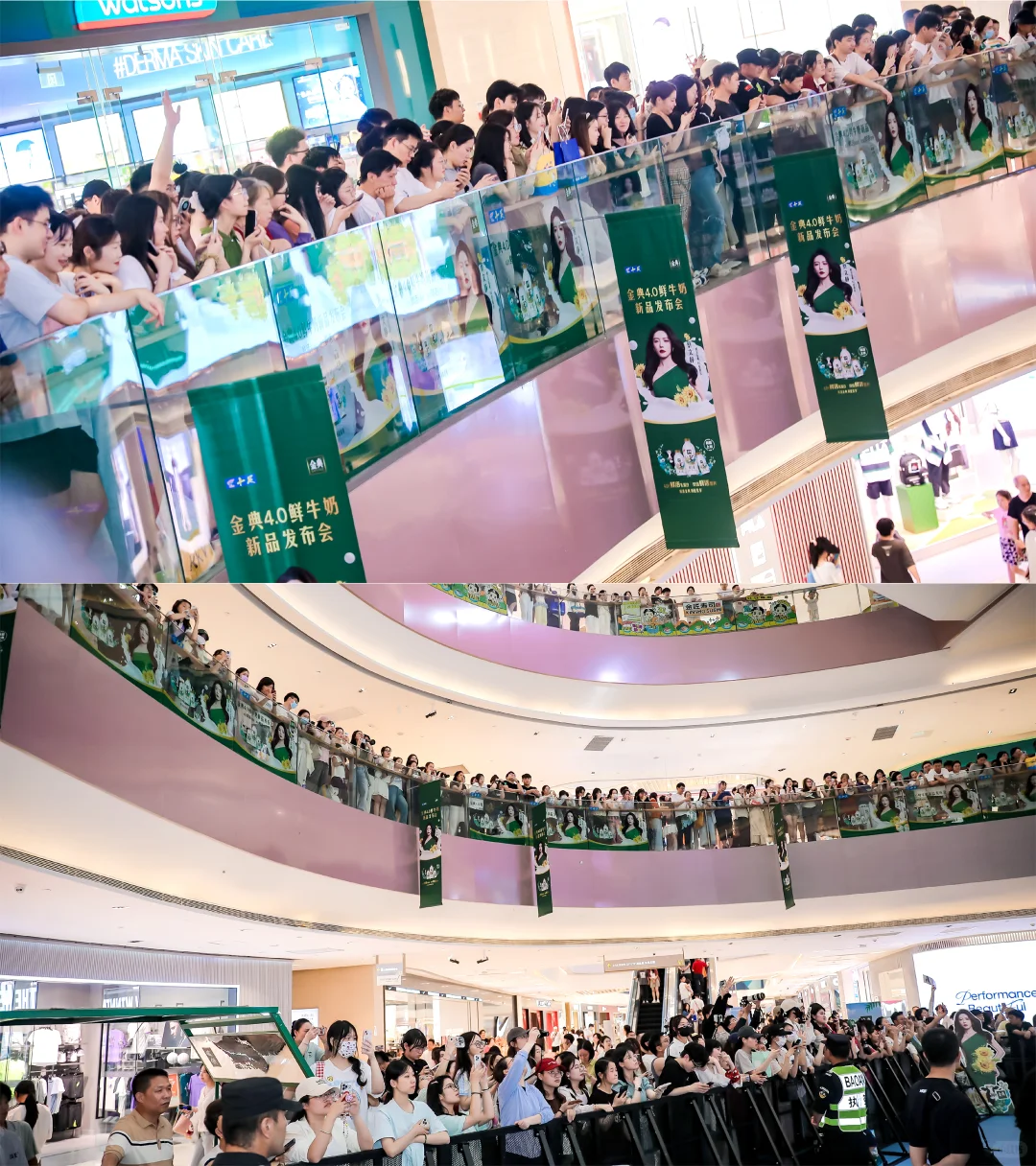 get蔡文静同款新品！金典4.0发布会现场直击