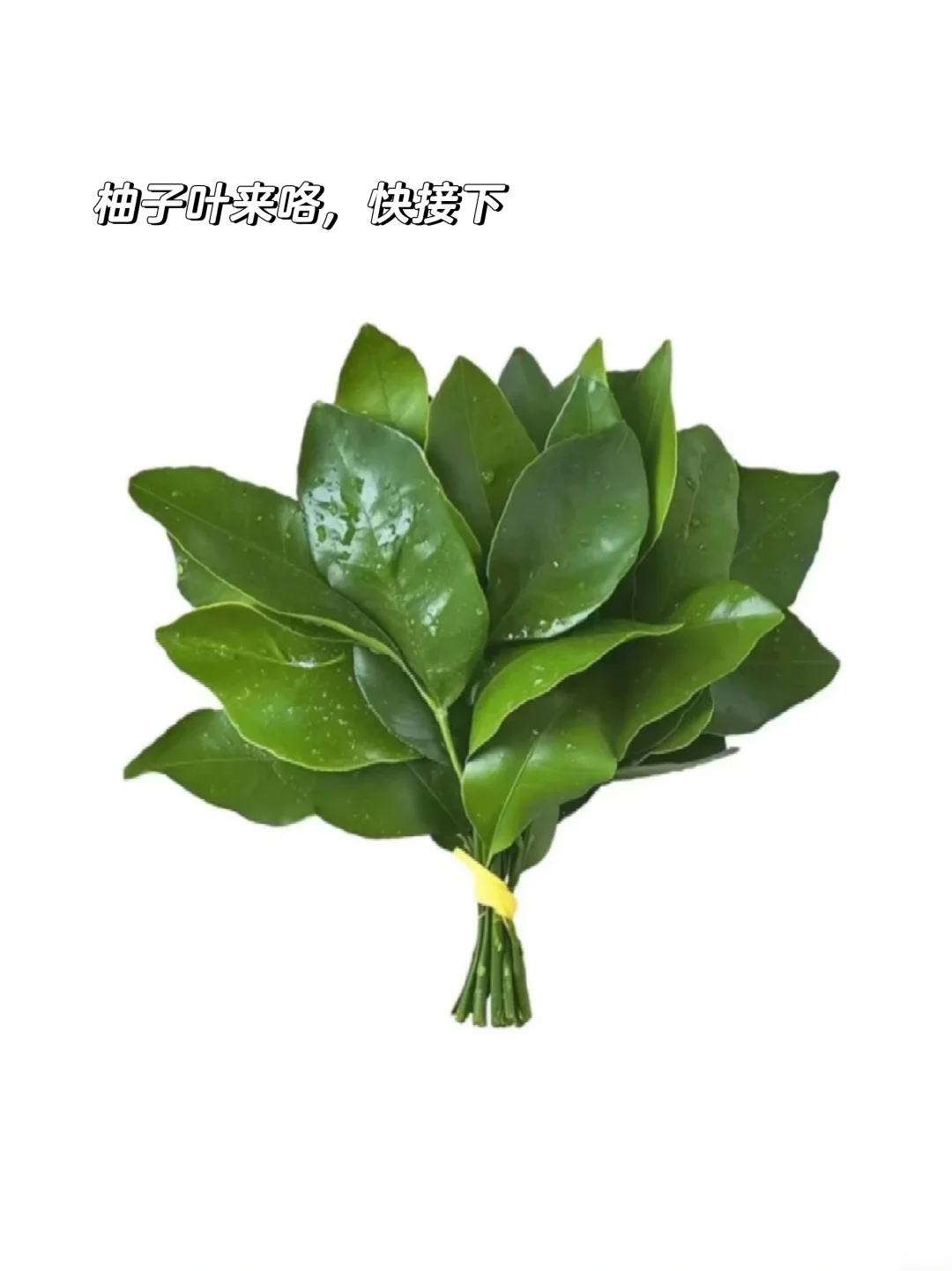 机械背景可以大胆尝试—制造外企