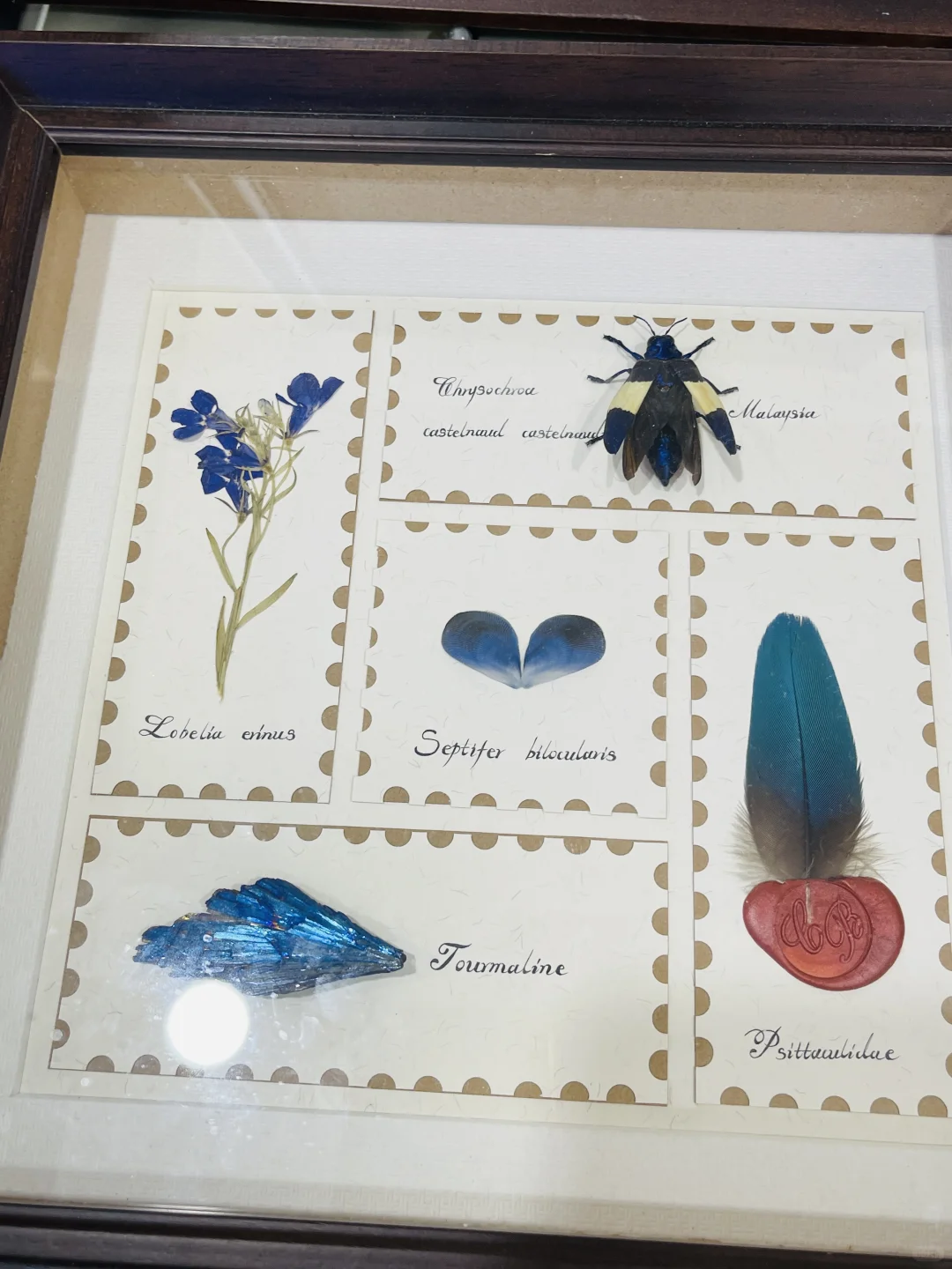 杭州贝壳展，攻略来了