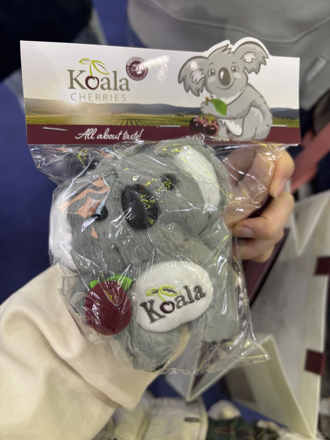 上海环球食品展 总结