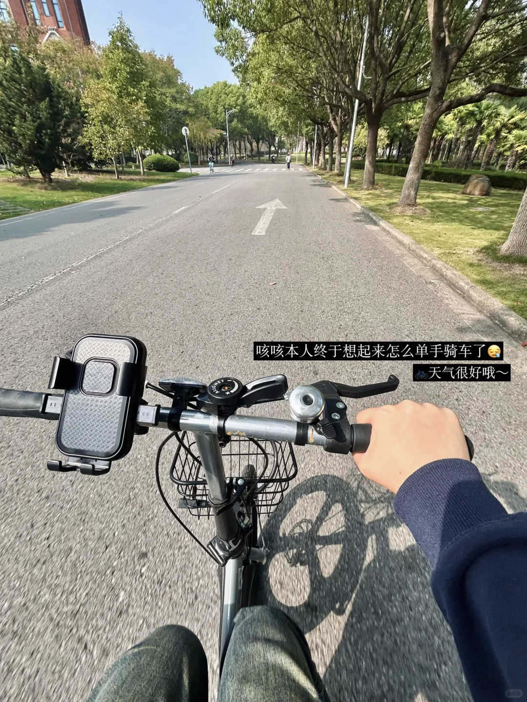 华政大一｜我们去新的秋天里再见???