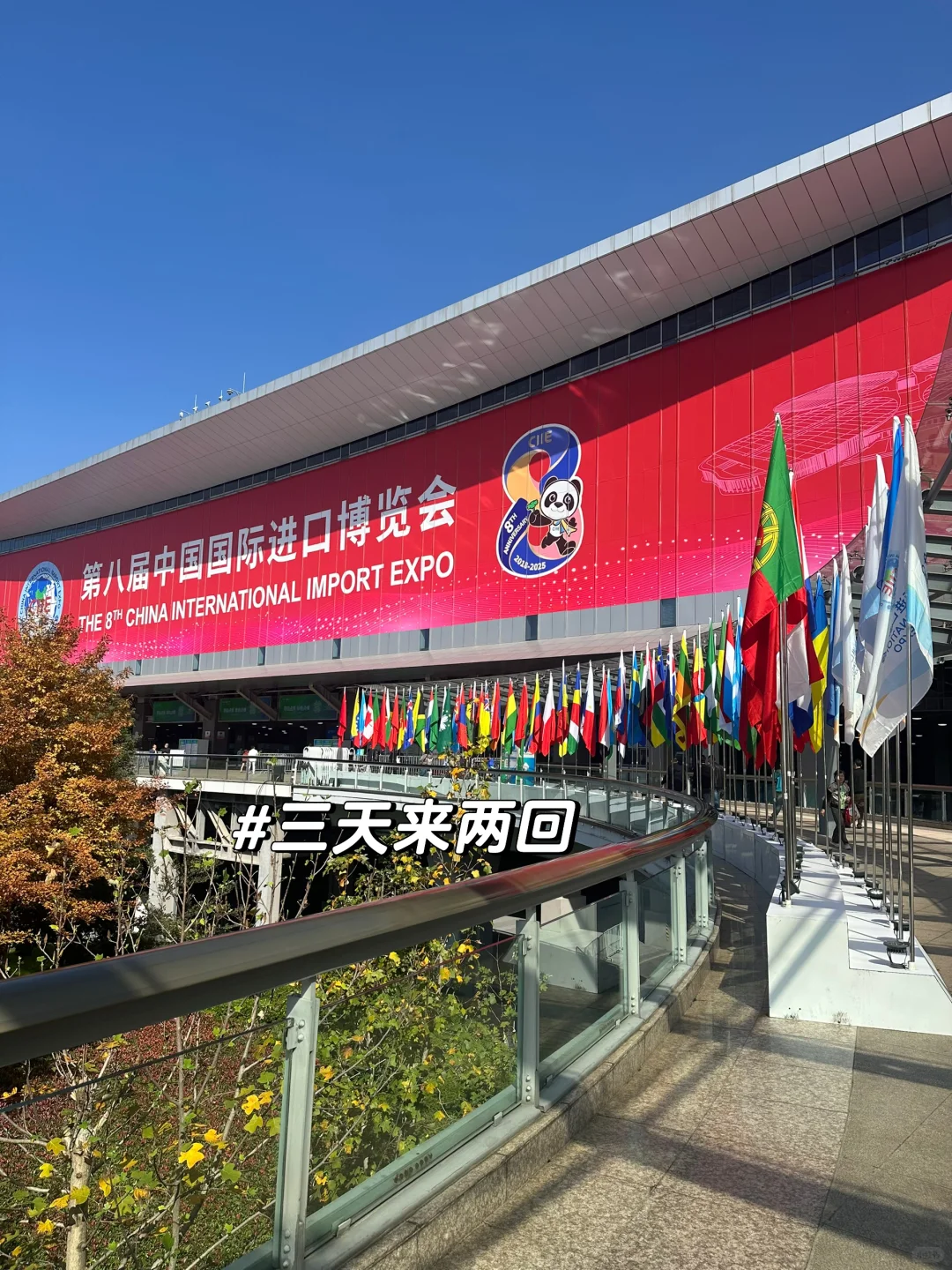 xiii?的SNAI日常｜进博会新体验