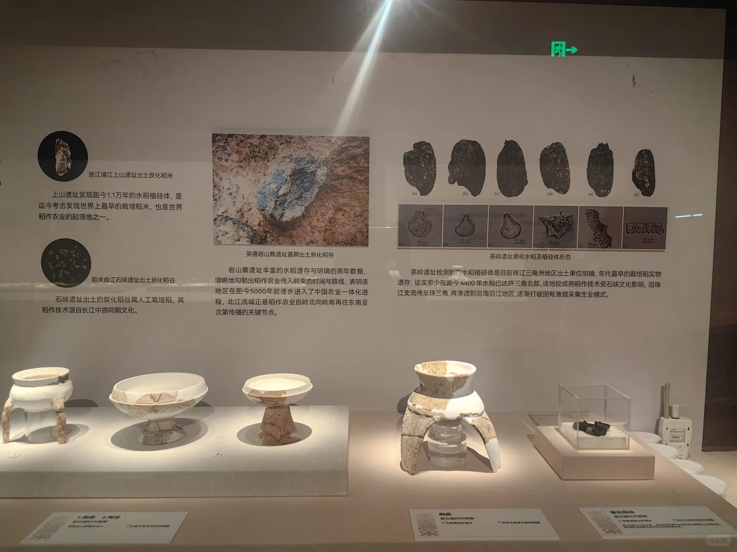 从石器时代开始了解广东