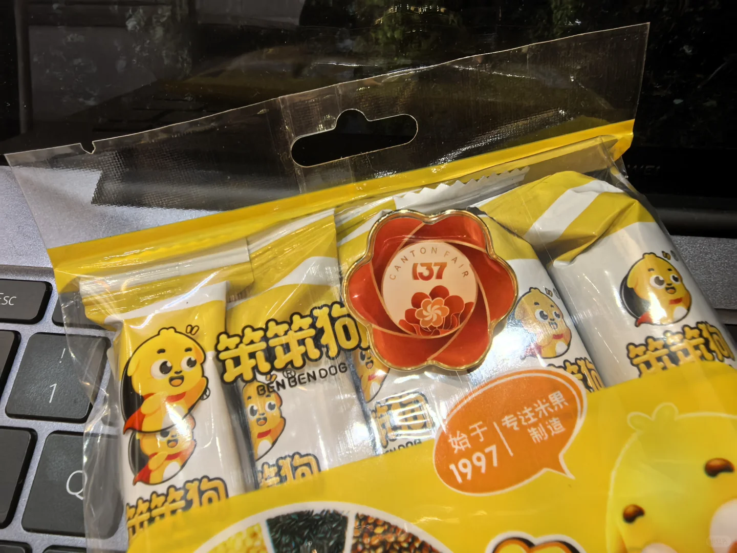 笨狗先飞 狗子也出息了！