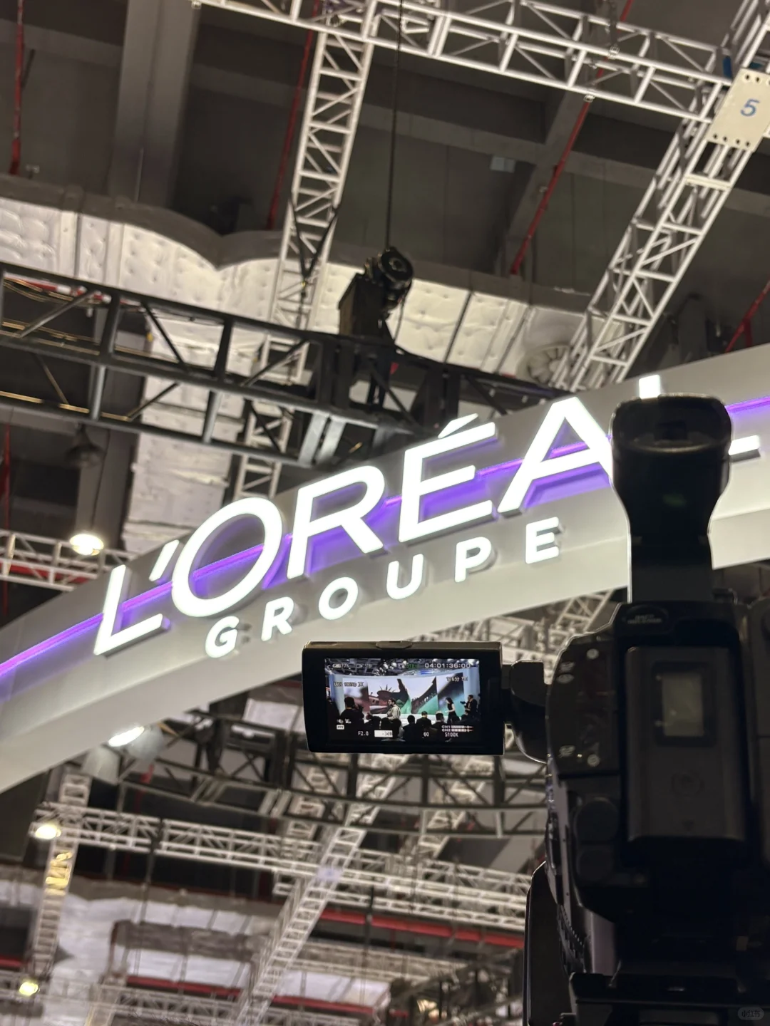 外企plog｜进博会郑钦文就这么朝我走来了?