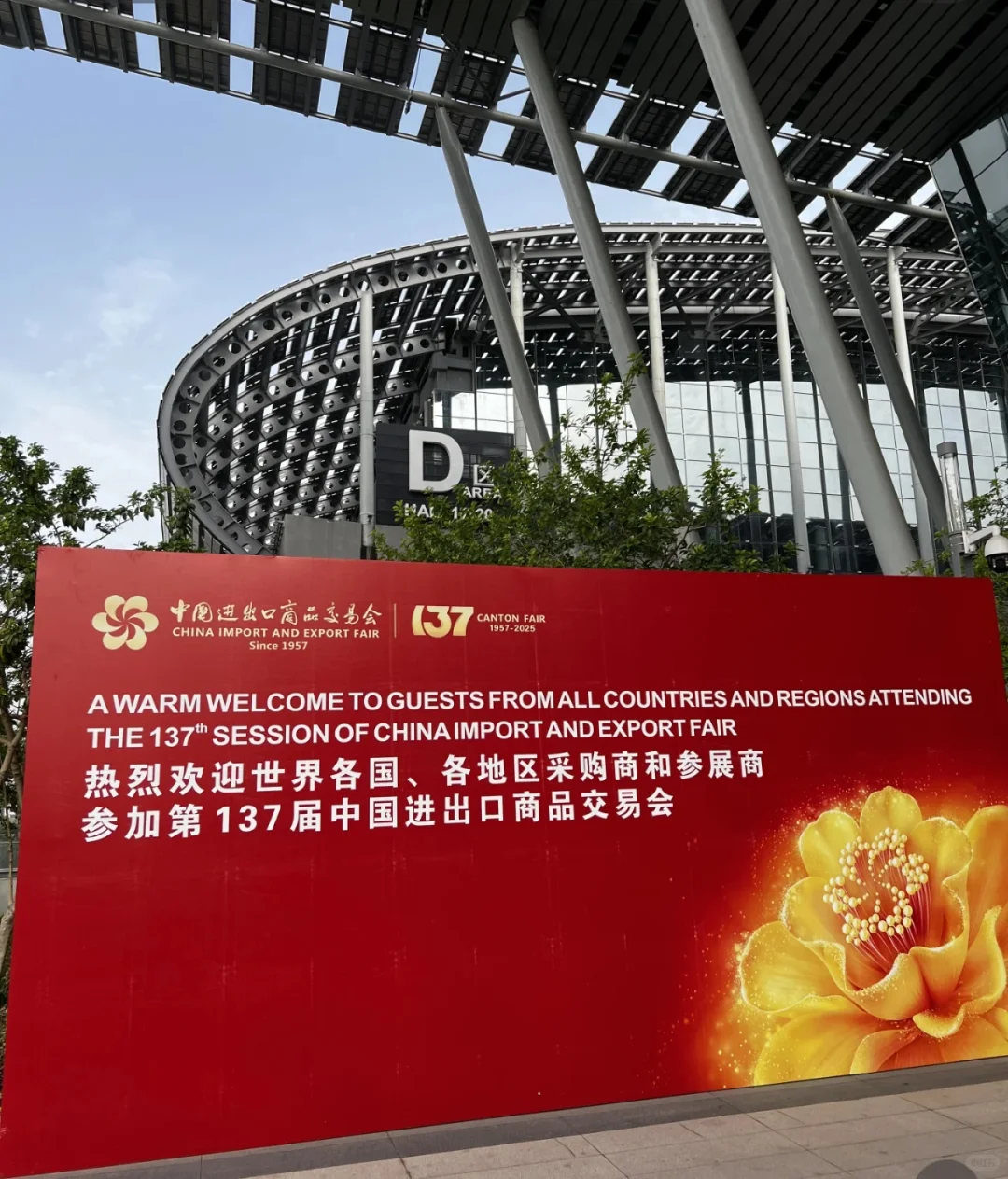 笨狗先飞 狗子也出息了！