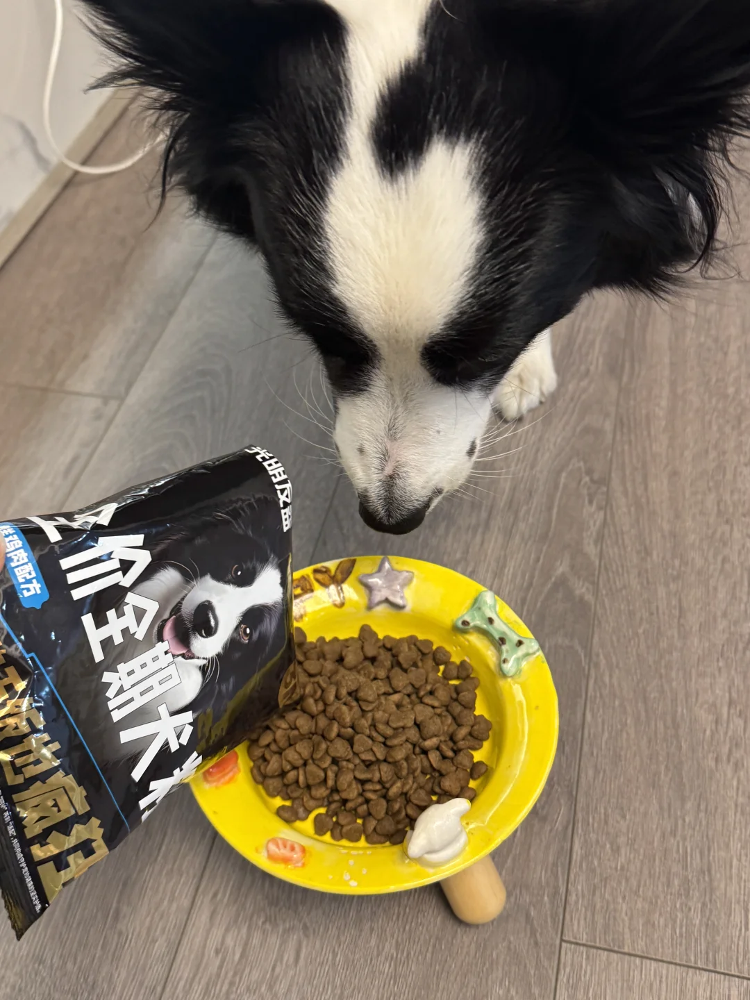 今日份狗子的快乐开箱?