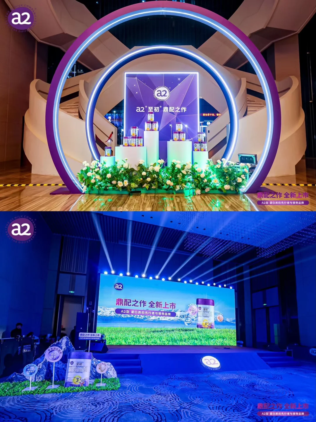 高端奶粉品牌上市发布会
