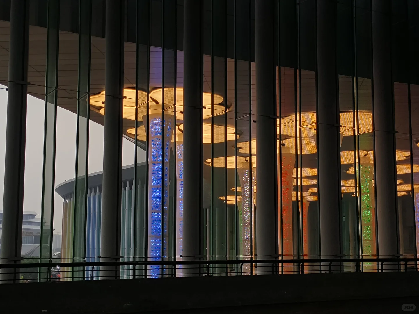 进博会结束后的两周...