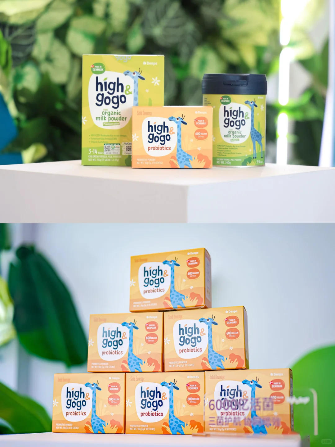 新品发布|新品首发,开启成长未来式