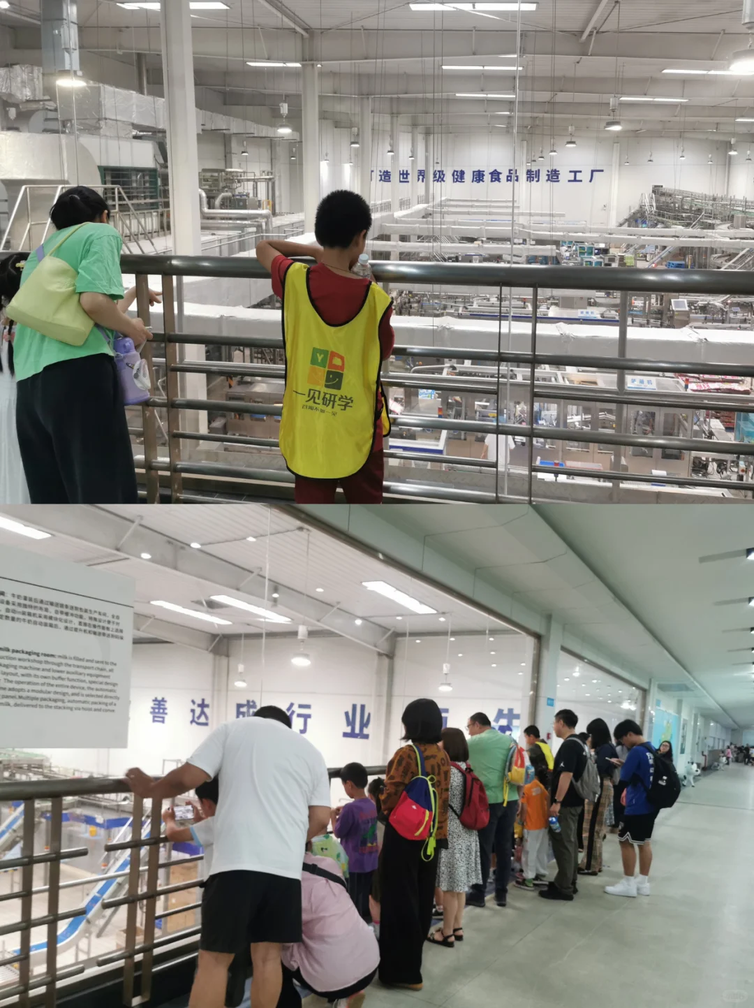 成都亲子｜打卡伊利冰淇淋工厂（需组队）