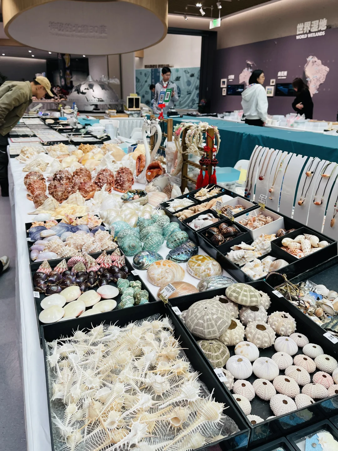 杭州国际贝壳展 现场实图