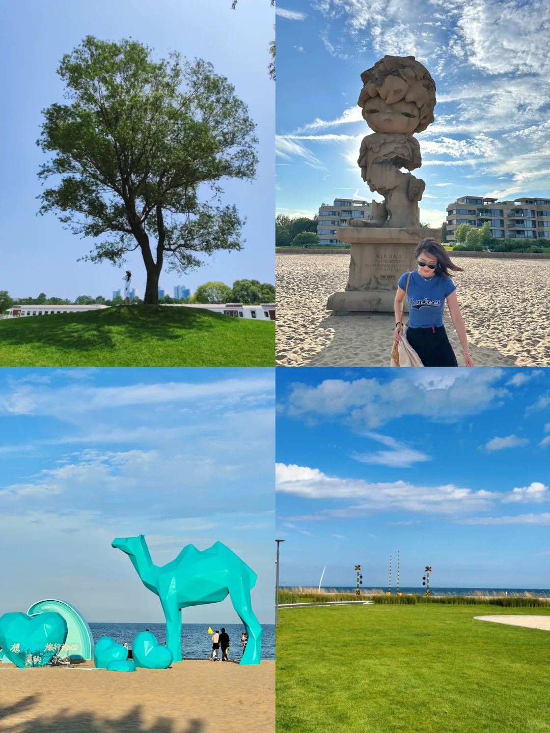 阿那亚?会奖励每一个做攻略的人……