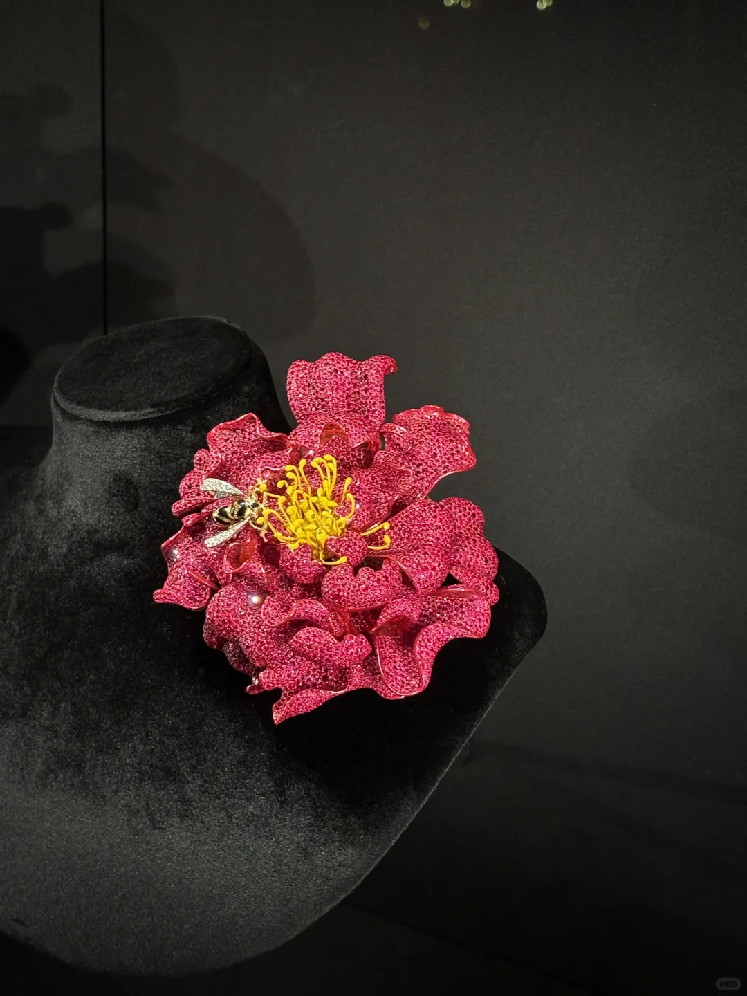 外企plog｜进博会郑钦文就这么朝我走来了?