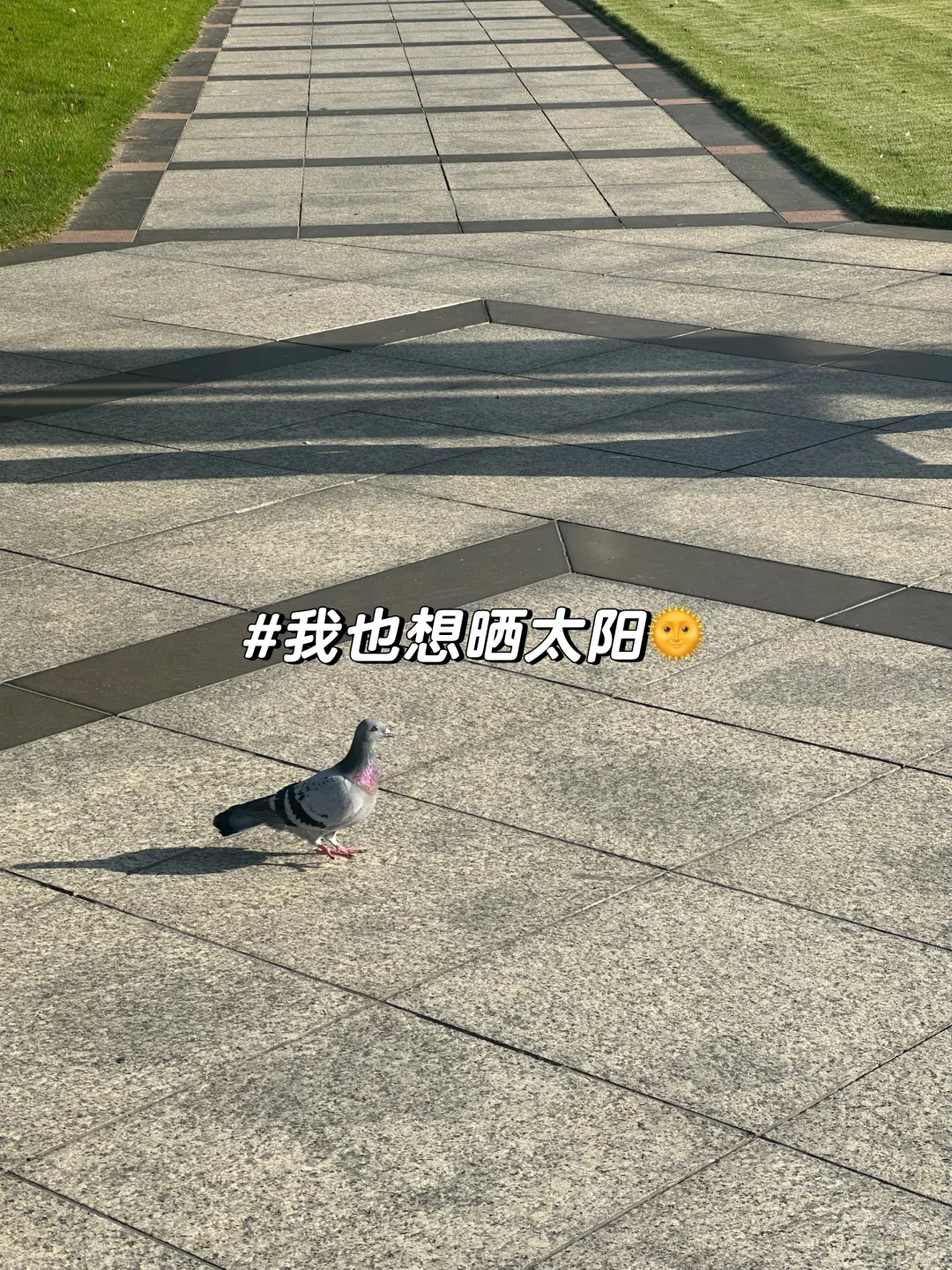 xiii?的SNAI日常|开学第十二周