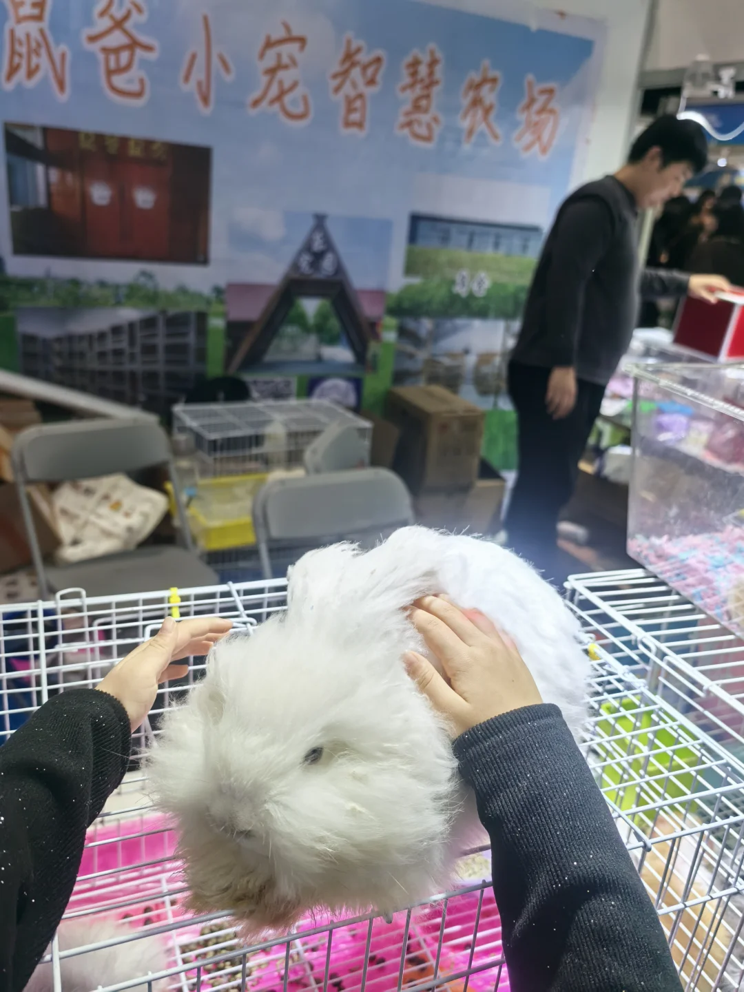 ? 南坪悦宠宠物博览会（万圣场）