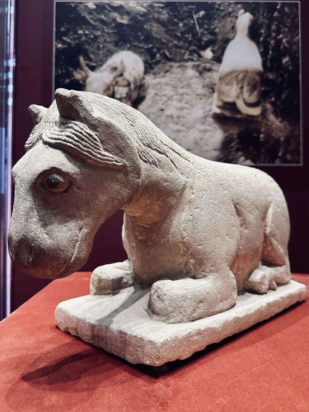 贺兰山下「桃花石」｜西夏文物精品展