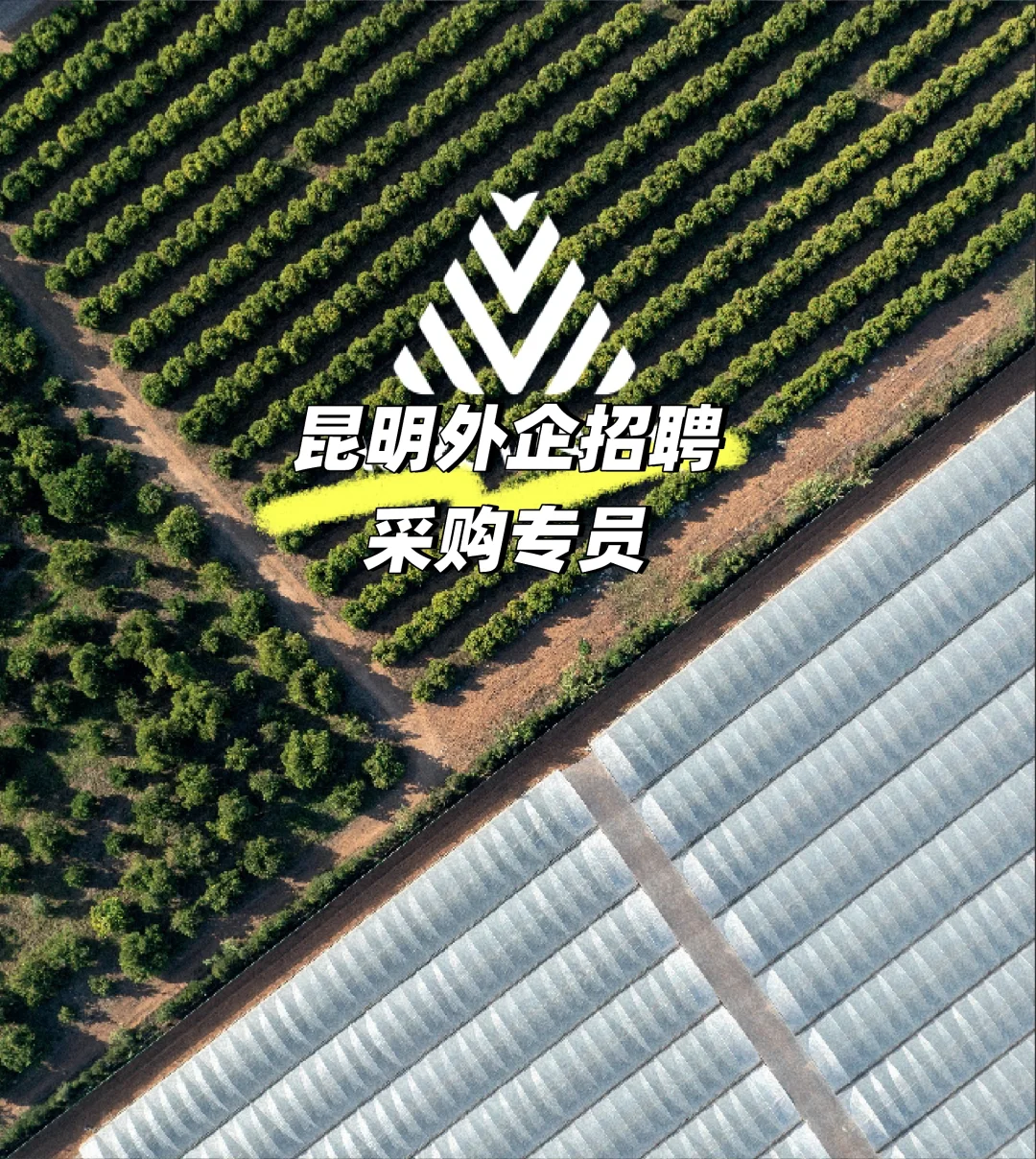 昆明外企-招聘采购专员1名