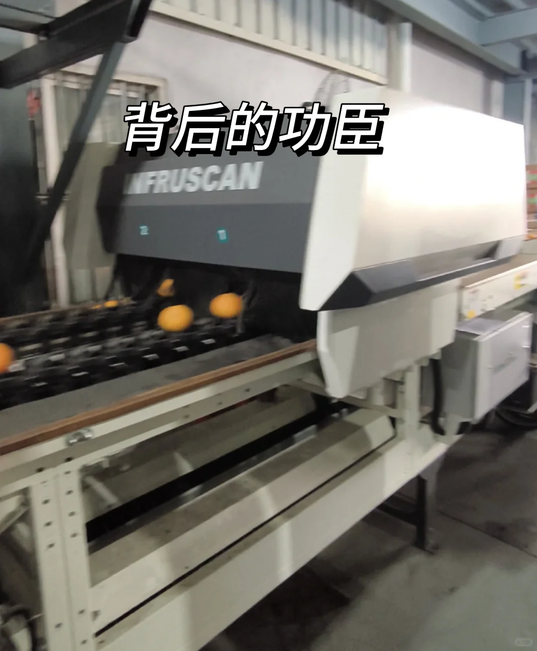 ? 水果分选与检测设备