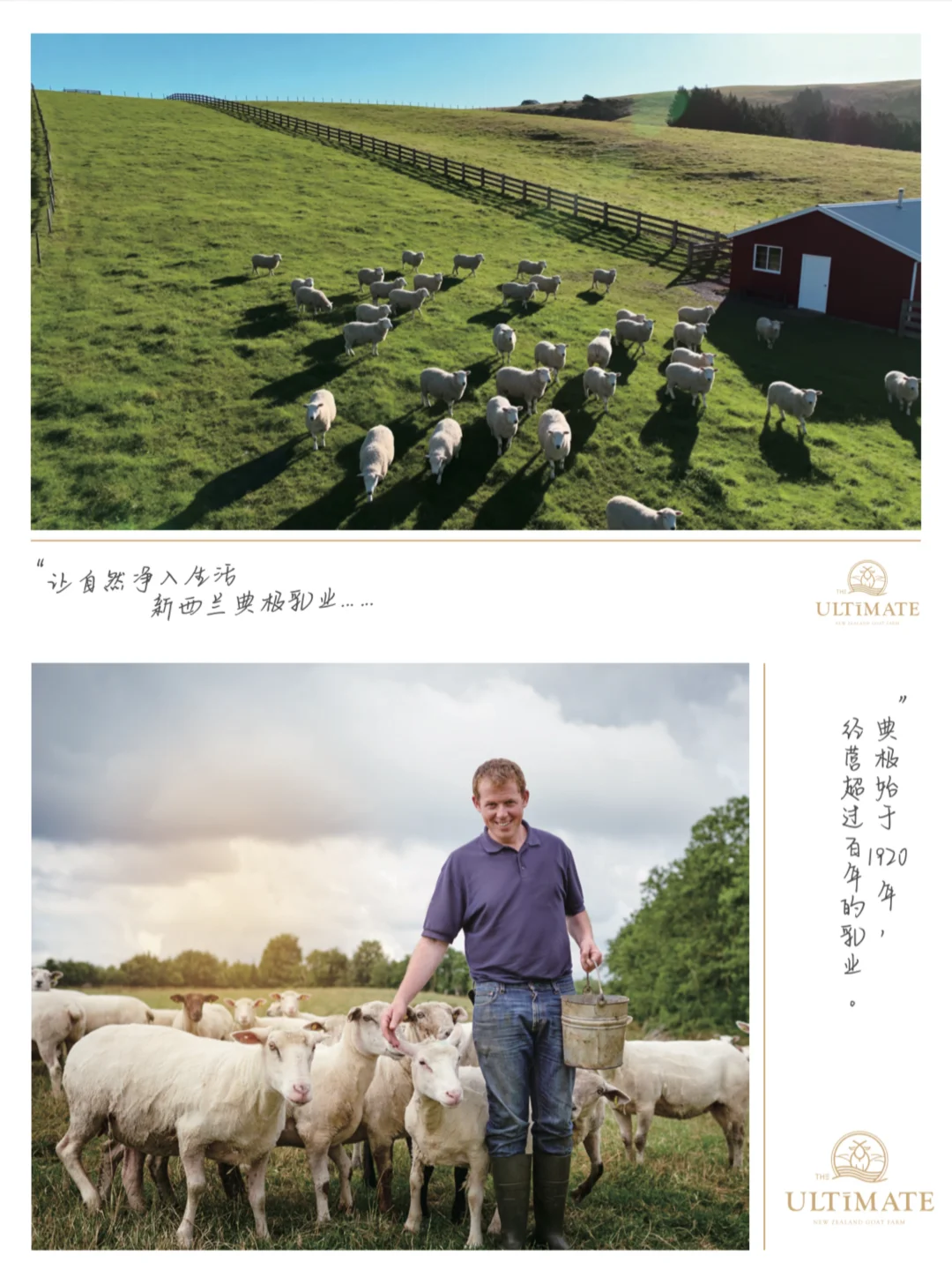 ✉️叮！邀您参加典极乳业x中喆北控新品发布会