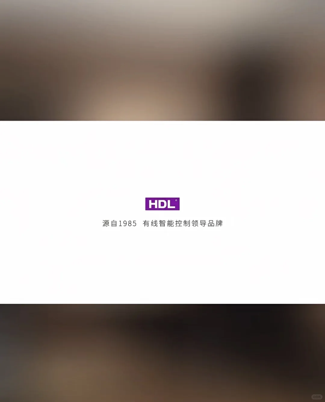 惊呆了！我粉的宝藏公司居然40岁了？！