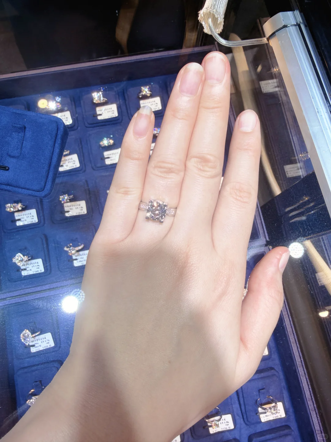 第八次进博会-见到了唐嫣！买了钻石！