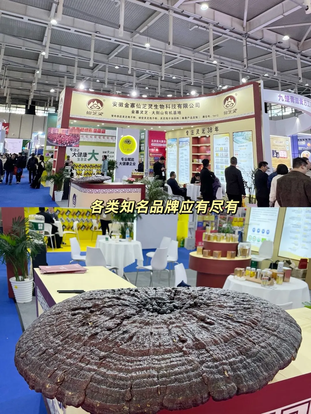 35+运动妈妈探展南京健康博会！逛到停不下