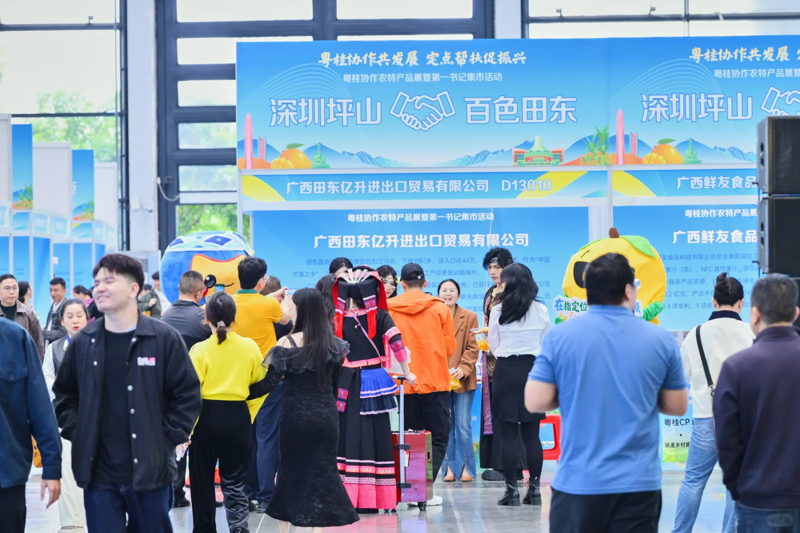 2025南宁农博会拍摄