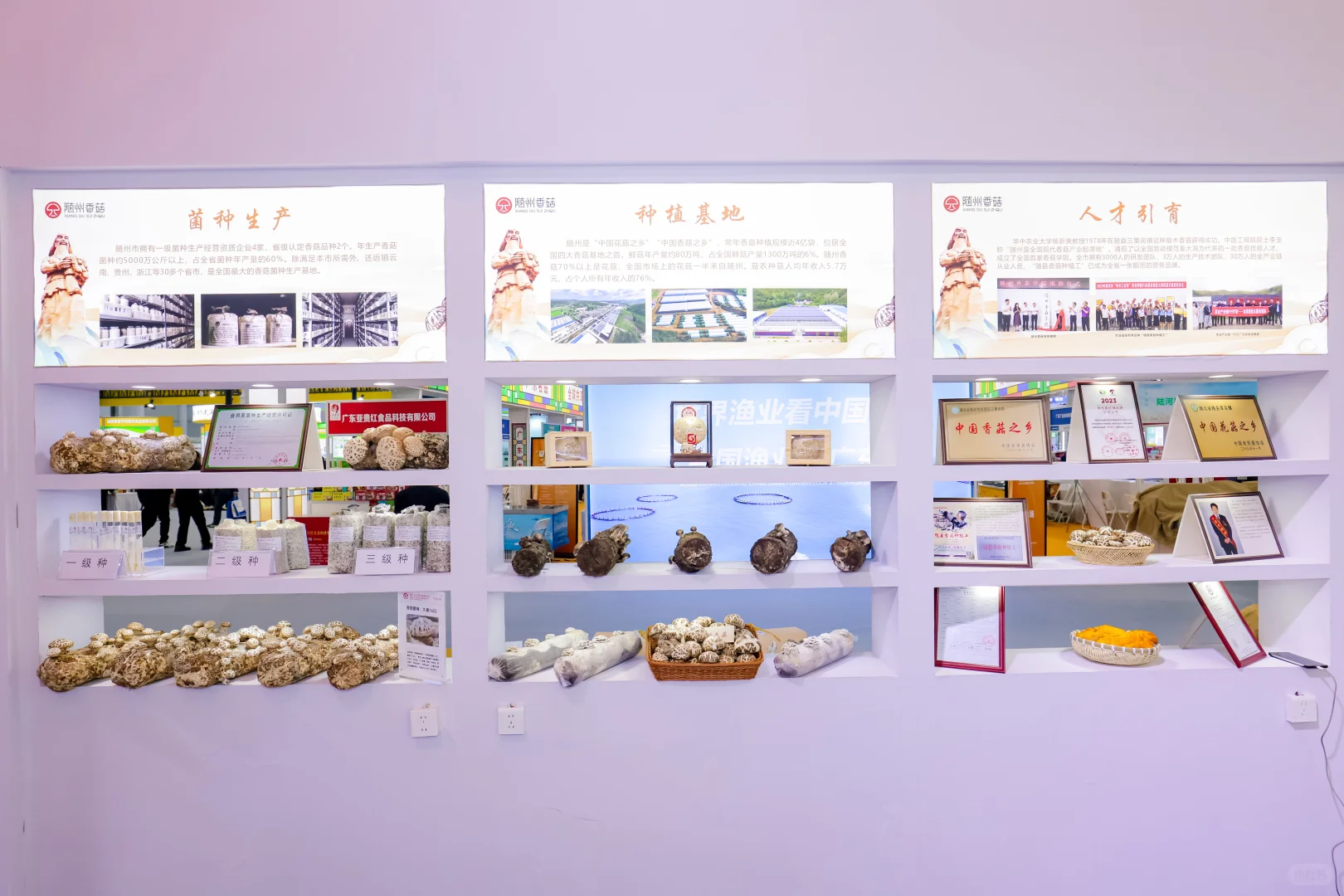 农博会现场=年轻人的“吃货创业课”？