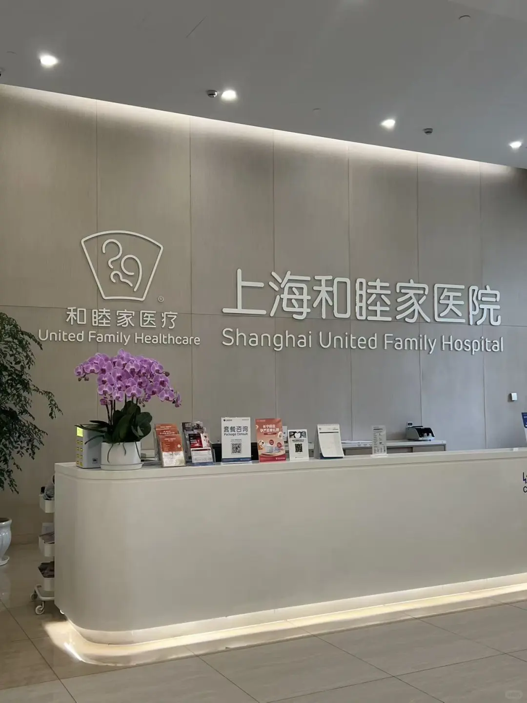 PLOG｜高效连轴转，拒绝暂停键｜工作日常